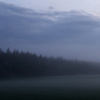 Eine Kulisse zum "Horrorfilme-drehen" gab es heute in Neuhermsdorf