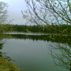 Der "Wüste Teich" zwischen Rehefeld-Zaunhaus und dem Kahleberg bei Altenberg