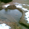 Meine "Teich-Baustelle" am 4. Januar 2012