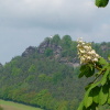 Papststein mit Kastanienblüten im Vordergrund