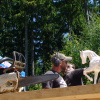 Huskycup in Dorfchemnitz - Blockhausen