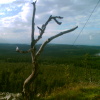 Auf dem Kahleberg bei Altenberg - 17.7.2012