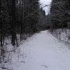 Bahndammloipe Holzhau am 21.1.2015